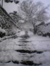 0d290267.jpg
