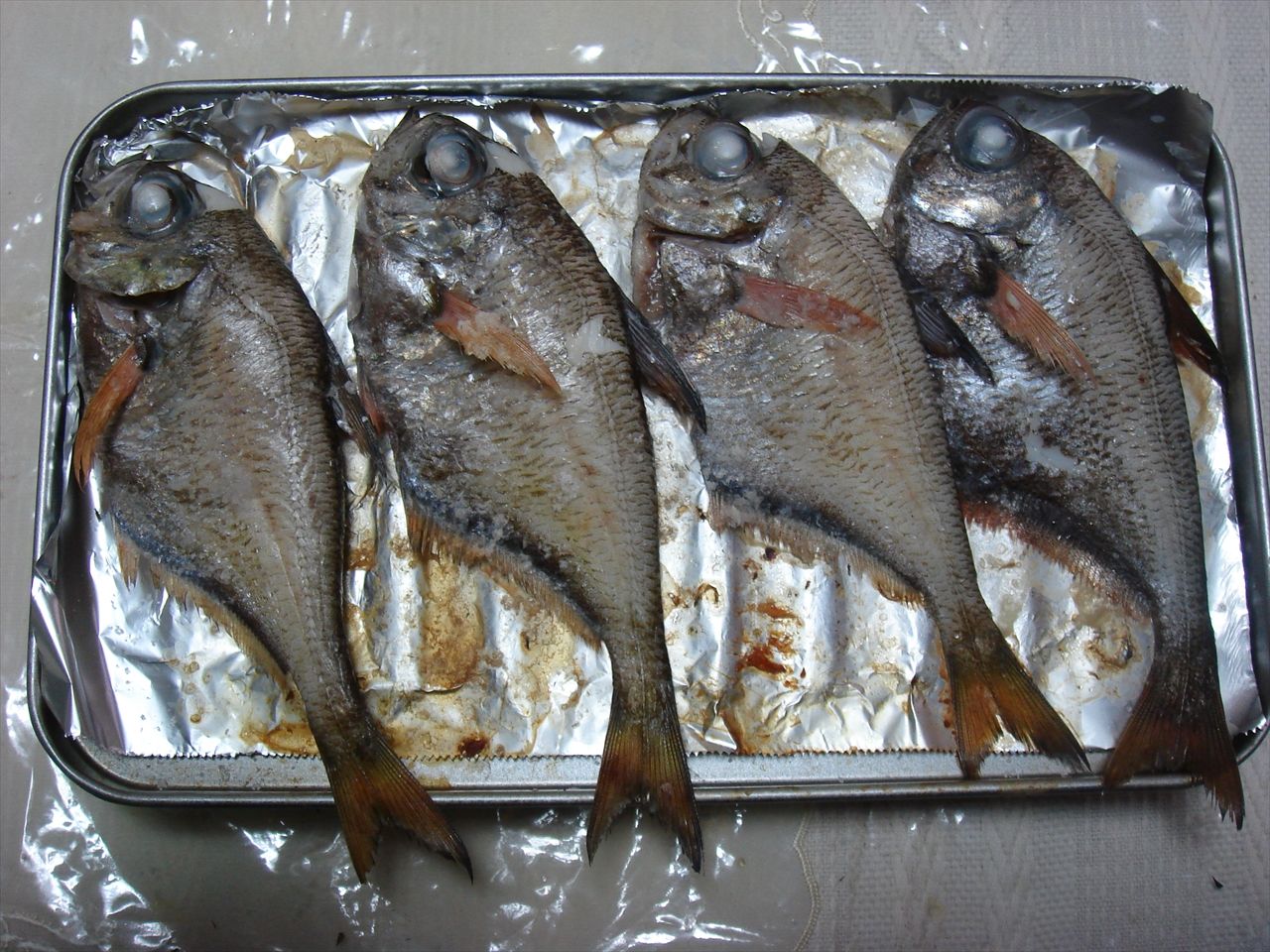 川魚に似た味 風 波 香 波の章 川魚に似た味 風 波 香 波の章