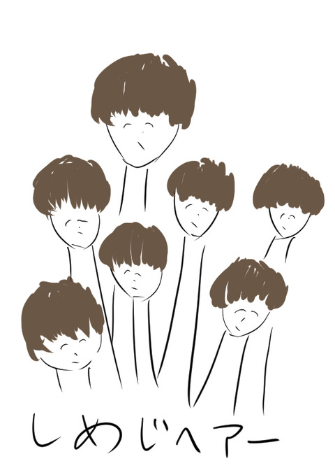 きのこ3
