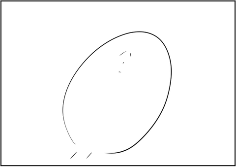 202008176