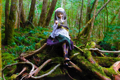 【どちらが恐怖か…】娘（人形）と青木ヶ原樹海に行ってきたで！
