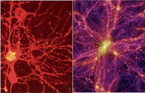 【脳】やはり、脳と宇宙の構造は似ている......最新研究　同様のネットワーク力学の原理によって形成されている可能性