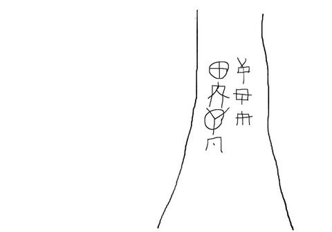 【謎の文字】神社に行ったら変な文字が木に彫られてたんだけど