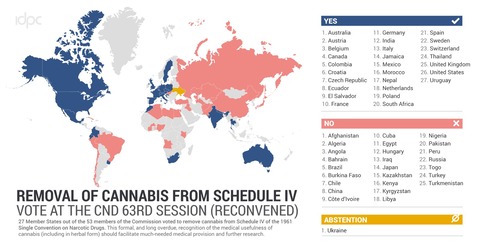 【大麻】大麻を危険薬物リストから除外するのに賛成した国と反対した国がこちら