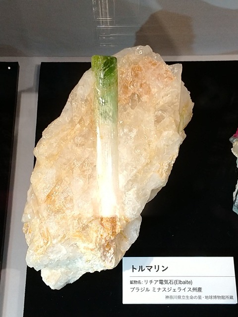【ネギ】どう見ても白ネギにしか見えない宝石が見つかるｗｗｗ