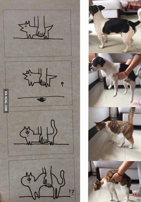 【溶怪】猫って液状なのか？？？？