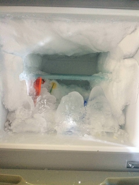 【霜】2週間ぶりに冷凍庫開けたらとんでもないことになってたんだが