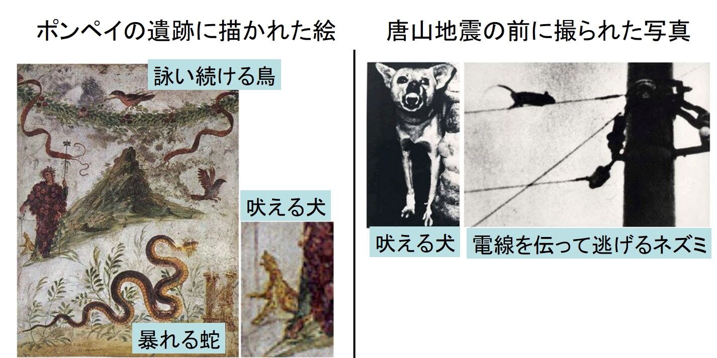 予知 動物の第六感を使った 地震予知 に初成功 科学がオカルトを証明する 次元の扉 オカルトまとめ 予知 動物の第六感を使った 地震予知 に初成功 科学がオカルトを証明する 次元の扉 オカルトまとめ