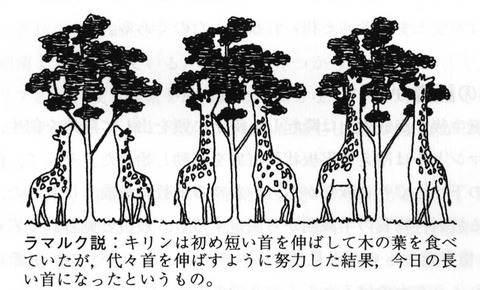 【進化論】進化論のラマルクの説ってアホくさくない？