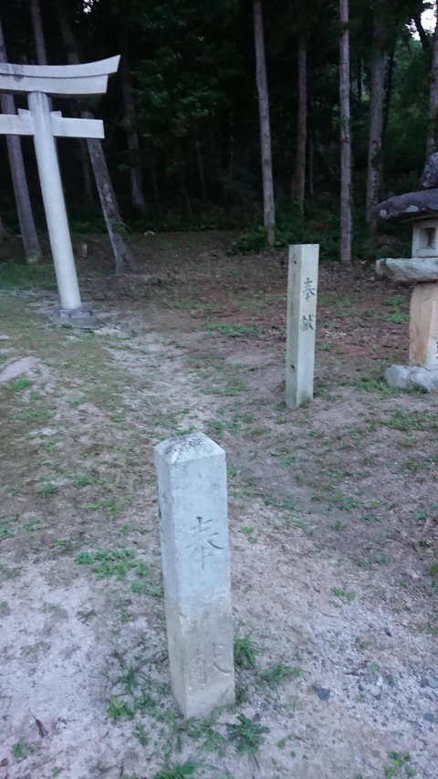 【探索】帰り道の神社に誰かいたんやが