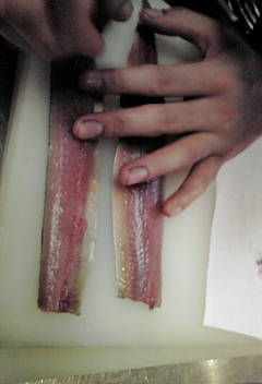 20101003182500