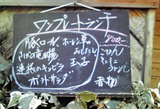 BlogPaint