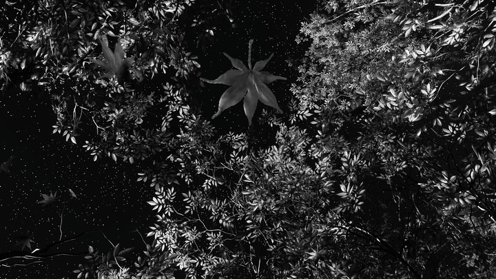 Ghost of Yōtei_20251021234512