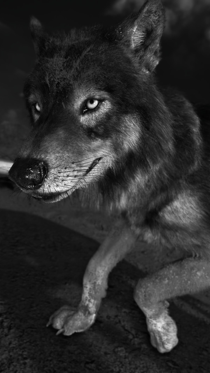 Ghost of Yōtei_20251014235330