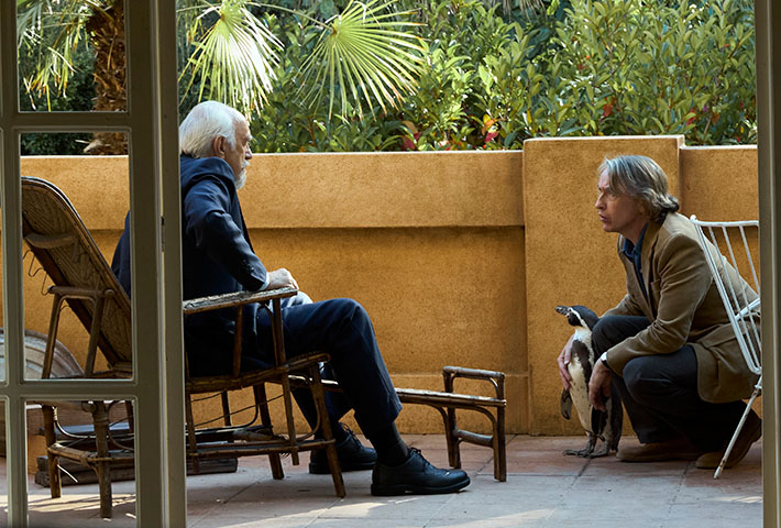 The Penguin Lessons_6