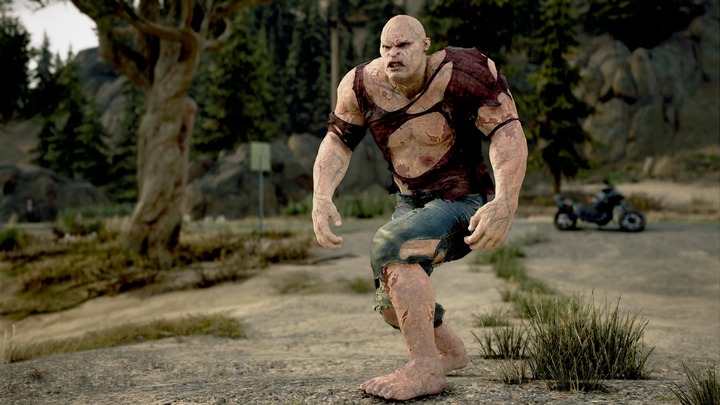 DAYS GONE_20201112003756