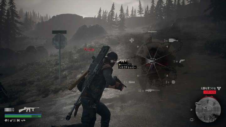 DAYS GONE_20201115114710