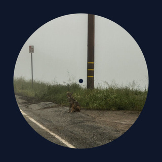 Dominic Fike_14 minutes