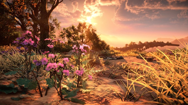 Horizon Forbidden West_20220228115545