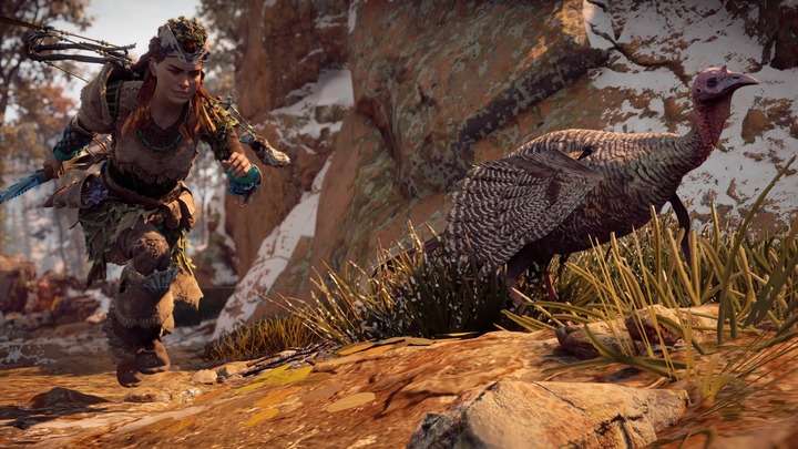 Horizon Zero Dawn™_ Complete Edition_20191018153620