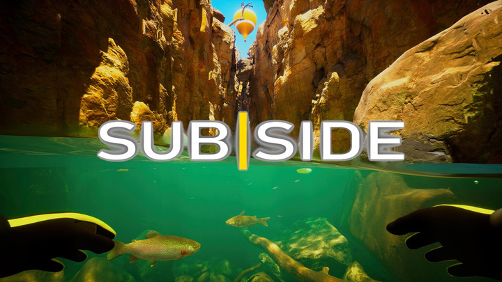 Subside_20250307194430