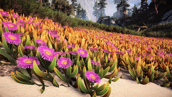 Horizon Forbidden West_20220327165800