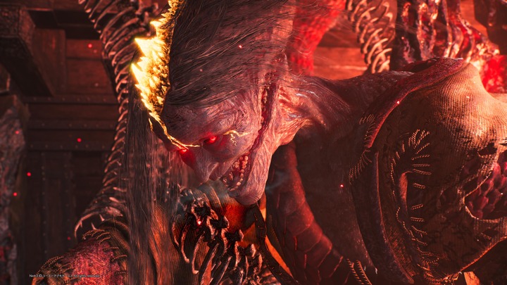 仁王3　体験版_20260201145553