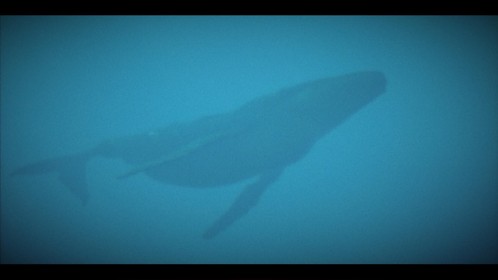 Under The Waves_20230902181538