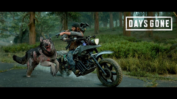 DAYS GONE_20201107123931