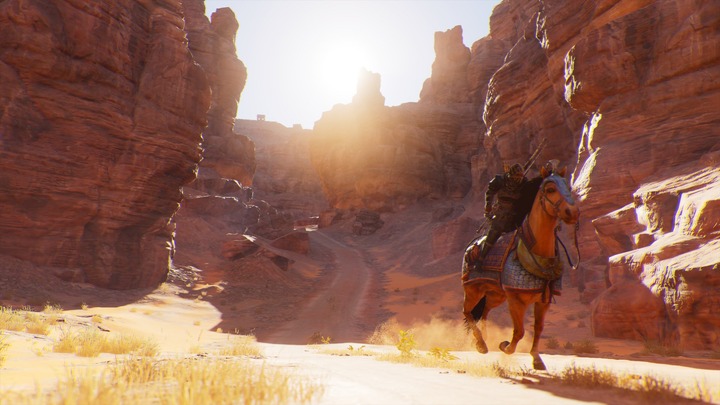 Assassin's Creed® Origins__415