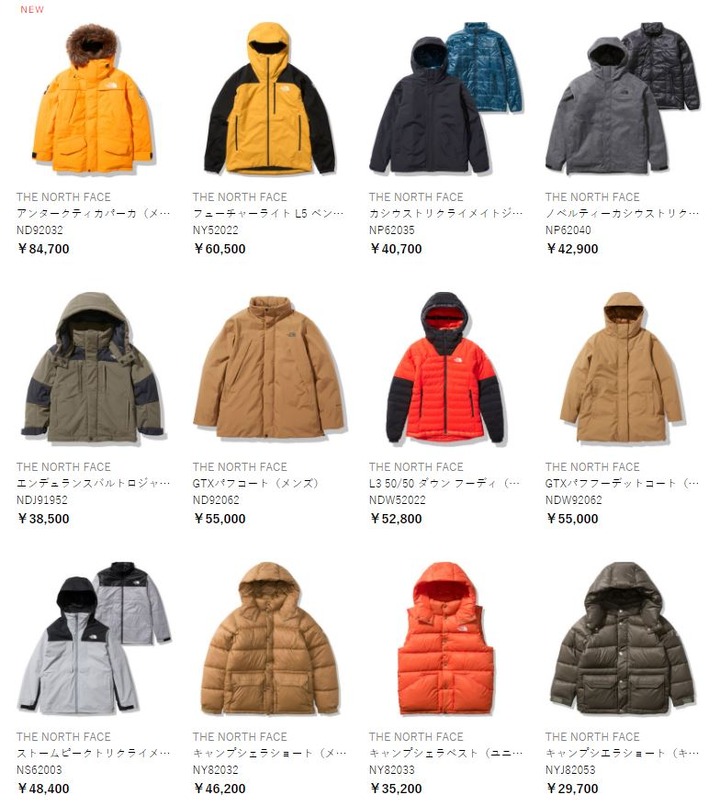 the north face
