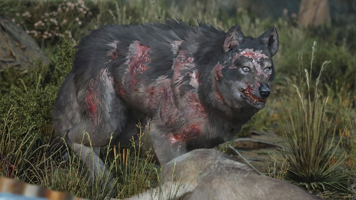 DAYS GONE_20201115142234