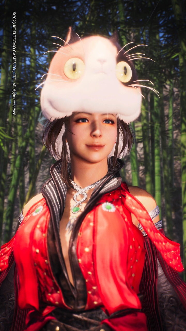 Wo Long_ Fallen Dynasty_20231203153848