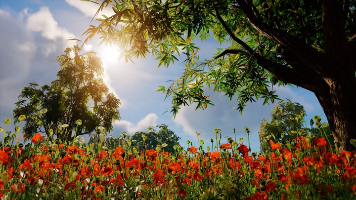 Assassin's Creed® Origins__986