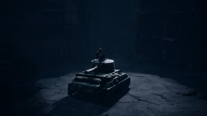 REANIMAL_20260331231341