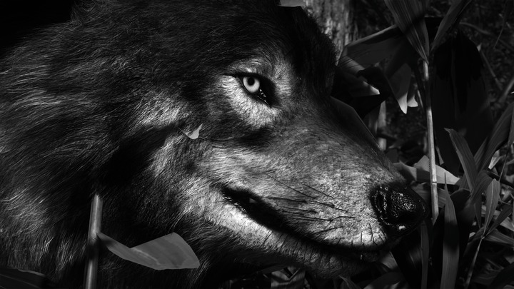 Ghost of Yōtei_20251003232338