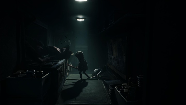 REANIMAL_20260330230308