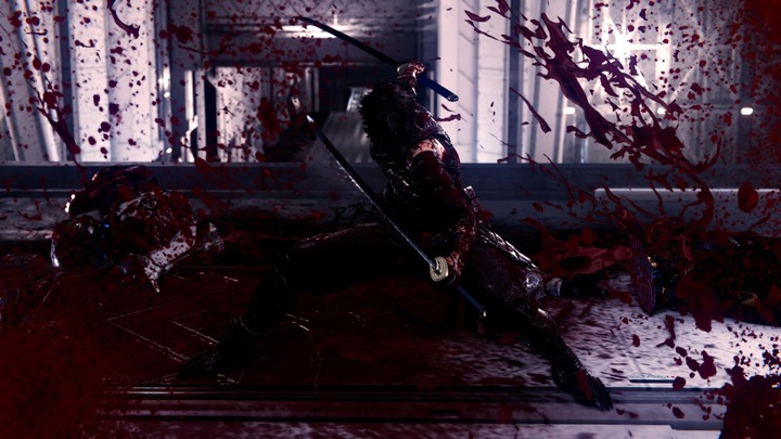 NINJA GAIDEN 4_20251104211602