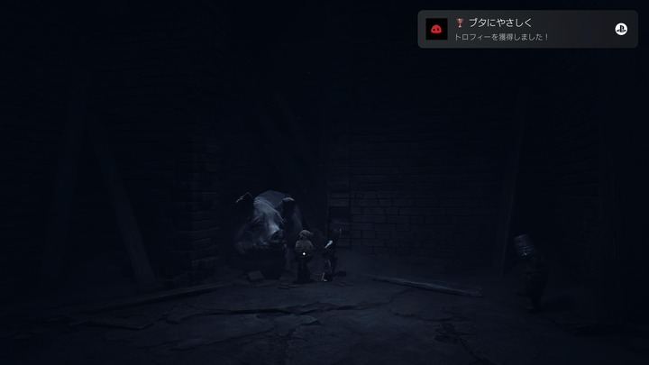 REANIMAL_20260331214421