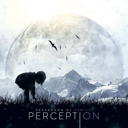過去作】Breakdown of Sanity『Perception』(2013)【レビュー