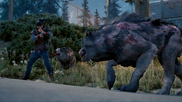 DAYS GONE_20201121141400