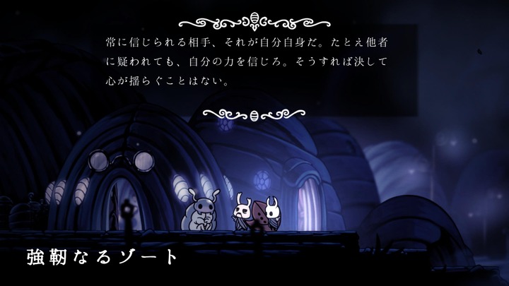 Hollow Knight_20220130143718