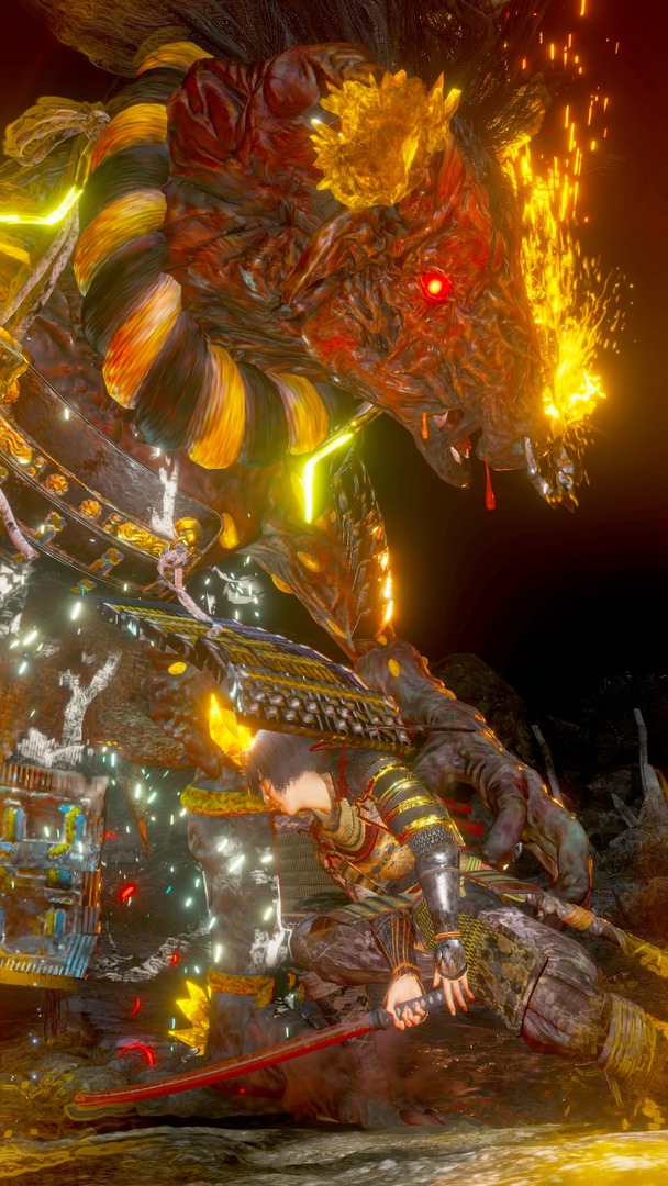 仁王２_20200524211016