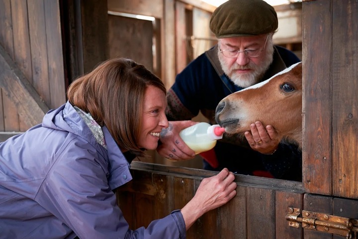 Dream Horse_1