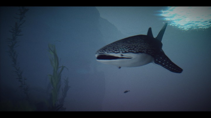 Under The Waves_20230904133848