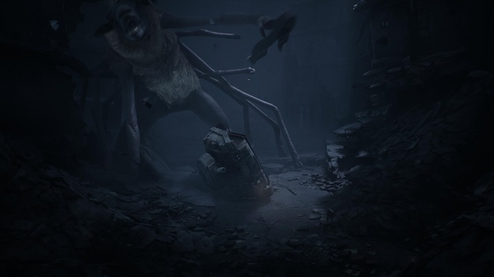 REANIMAL_20260331232534