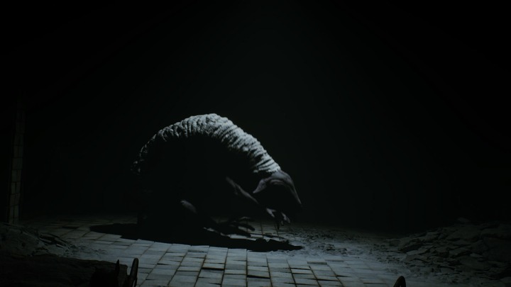 REANIMAL_20260331225011