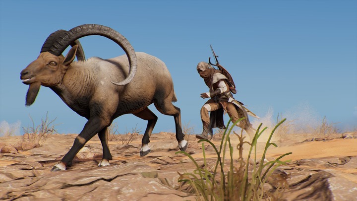 Assassin's Creed® Origins__45