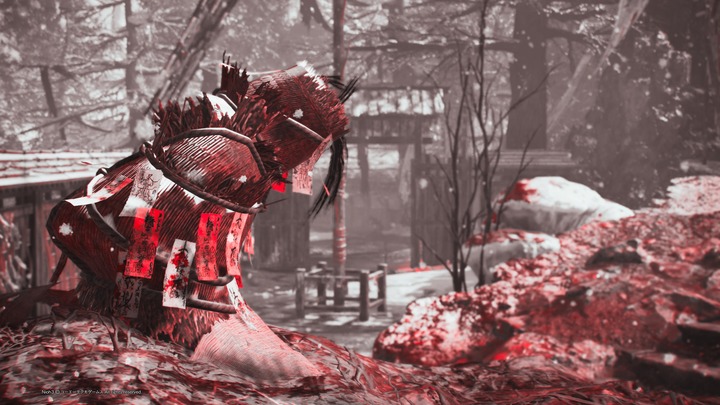 仁王３_20260211155919