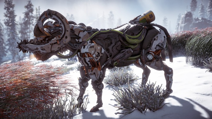 Horizon Zero Dawn™_ Complete Edition_20191016013002
